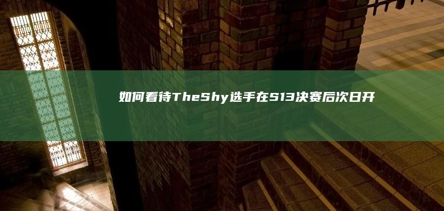 如何看待 TheShy 选手在 S13 决赛后次日开播后的弹幕氛围？